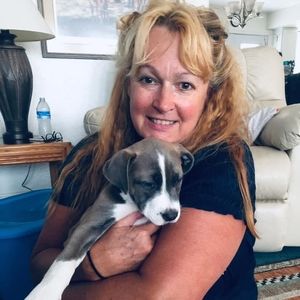 Meet your Posher, Lori